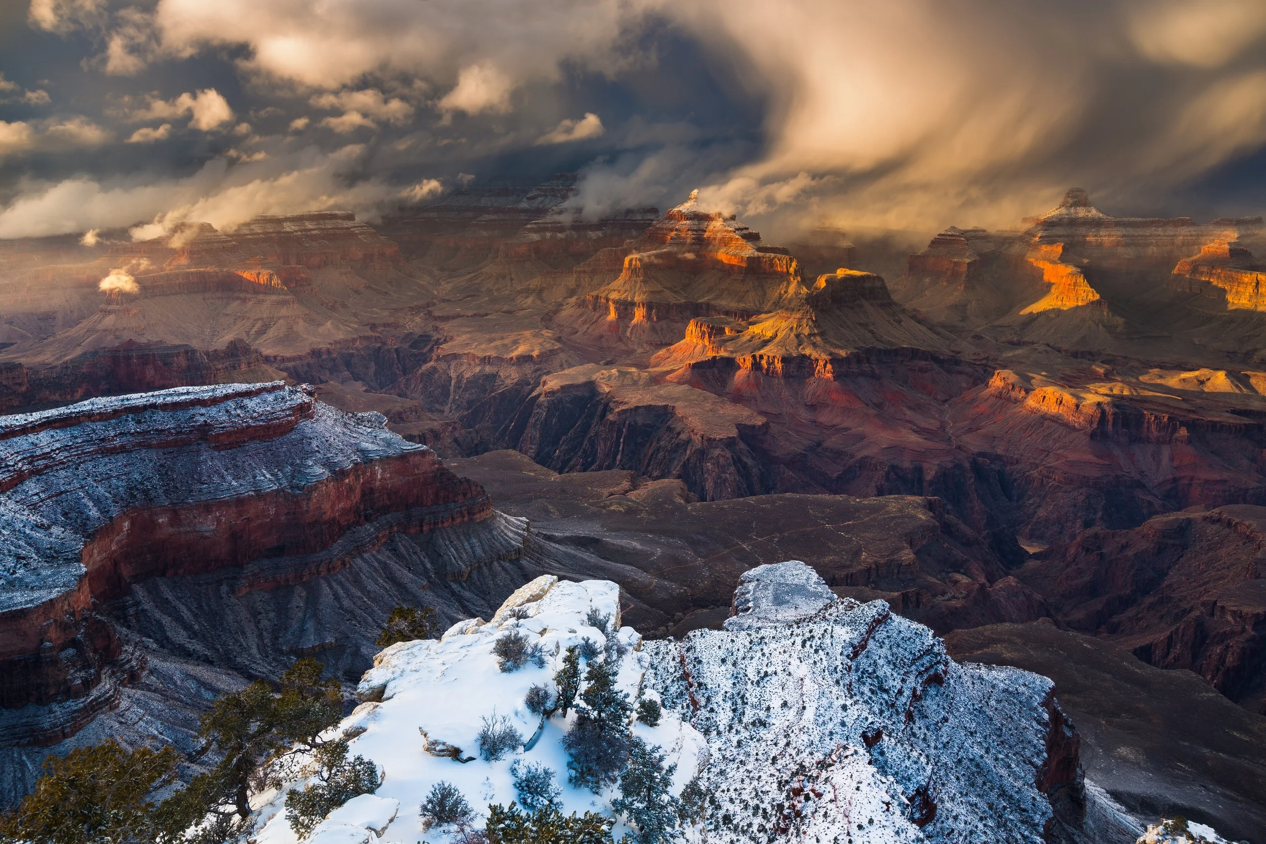 Grand Canyon Project — Rhonda Rider